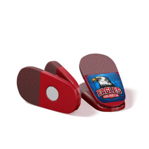magnets-promotional-product-mvs-school.jpg